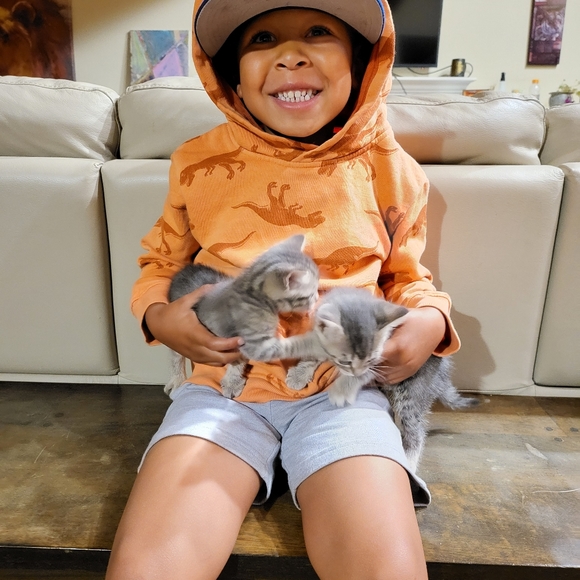 Meet your Posher, Dominique - Picture 3 of 5